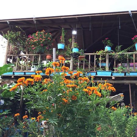 Wood House Hostel La Fortuna Buitenkant foto