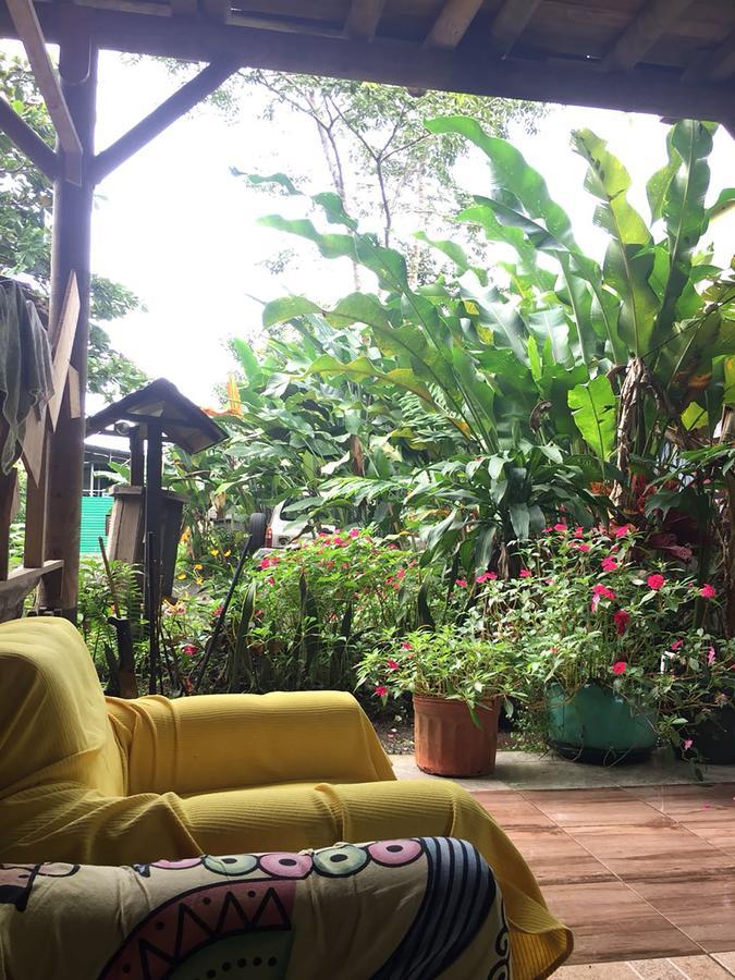 Wood House Hostel La Fortuna Buitenkant foto